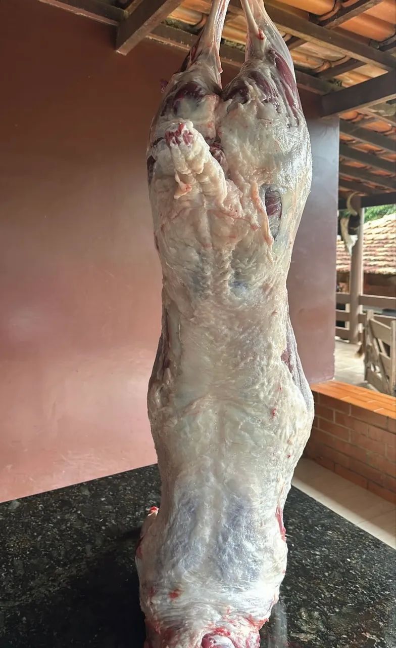 Carneiro fresco 