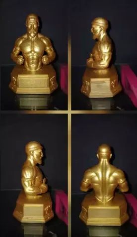 Busto de Lutador e Lutadora Muay Thai - Foto 5