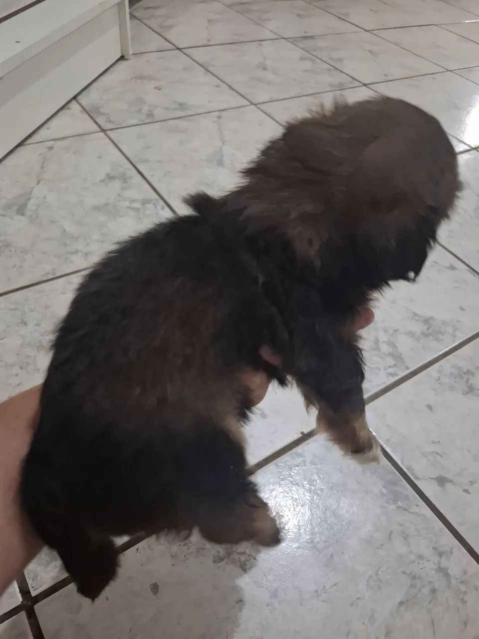 Disponível  - Foto 2