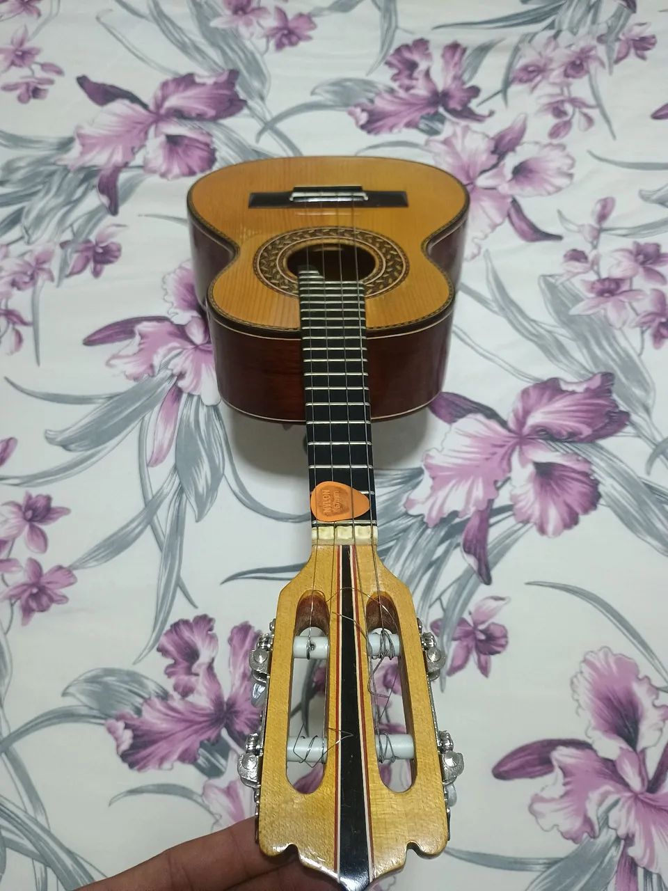 Cavaco Osvaldo Luthier 