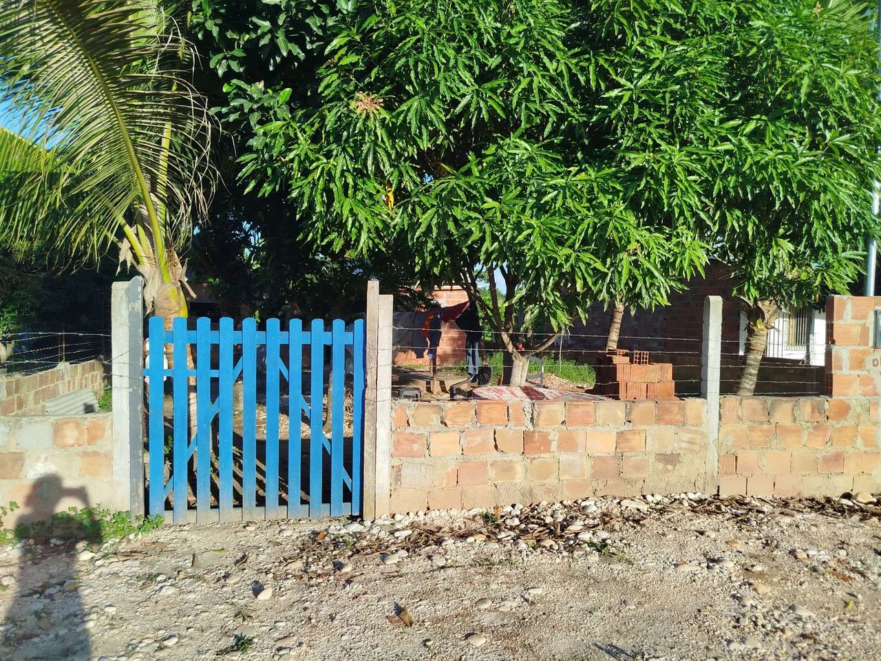 Foto - Aracaju - Dom Luciano