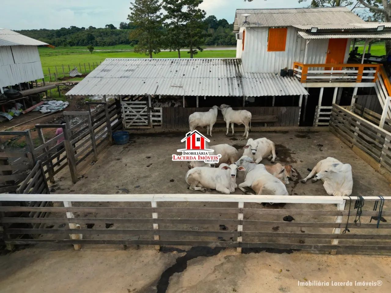 Fazenda Iranduba, VÁRZEA, 1.800 x 1.000 = 1.800.000m², Cural, As Margens do Rio Solimões - Foto 14