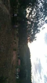 Sítio conceição do Pará mg - Foto 3