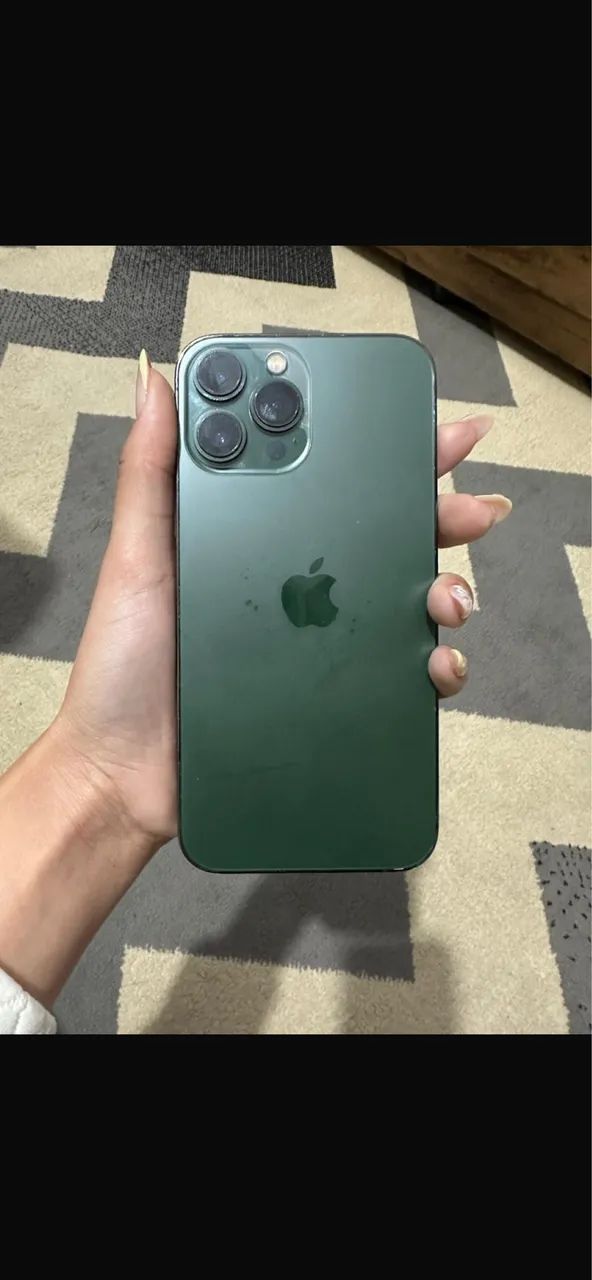 13 Pro Max 256GB