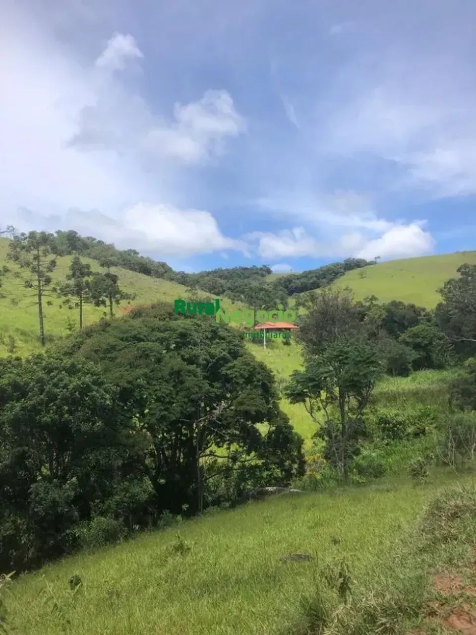 Chácara Formada com Acesso Fácil em Cunha-SP - Foto 5