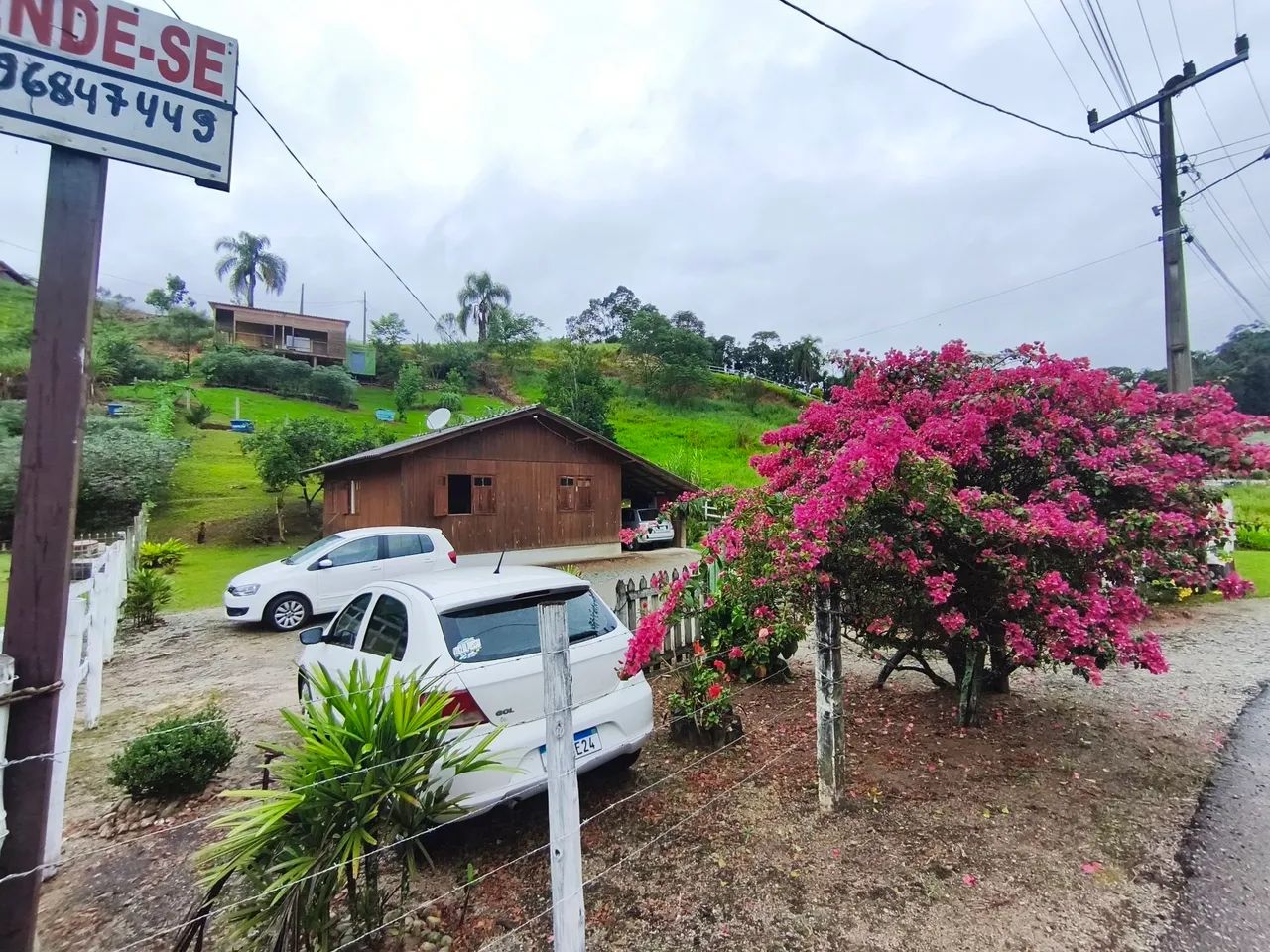 Vendo sítio em águas mornas  - Foto 2