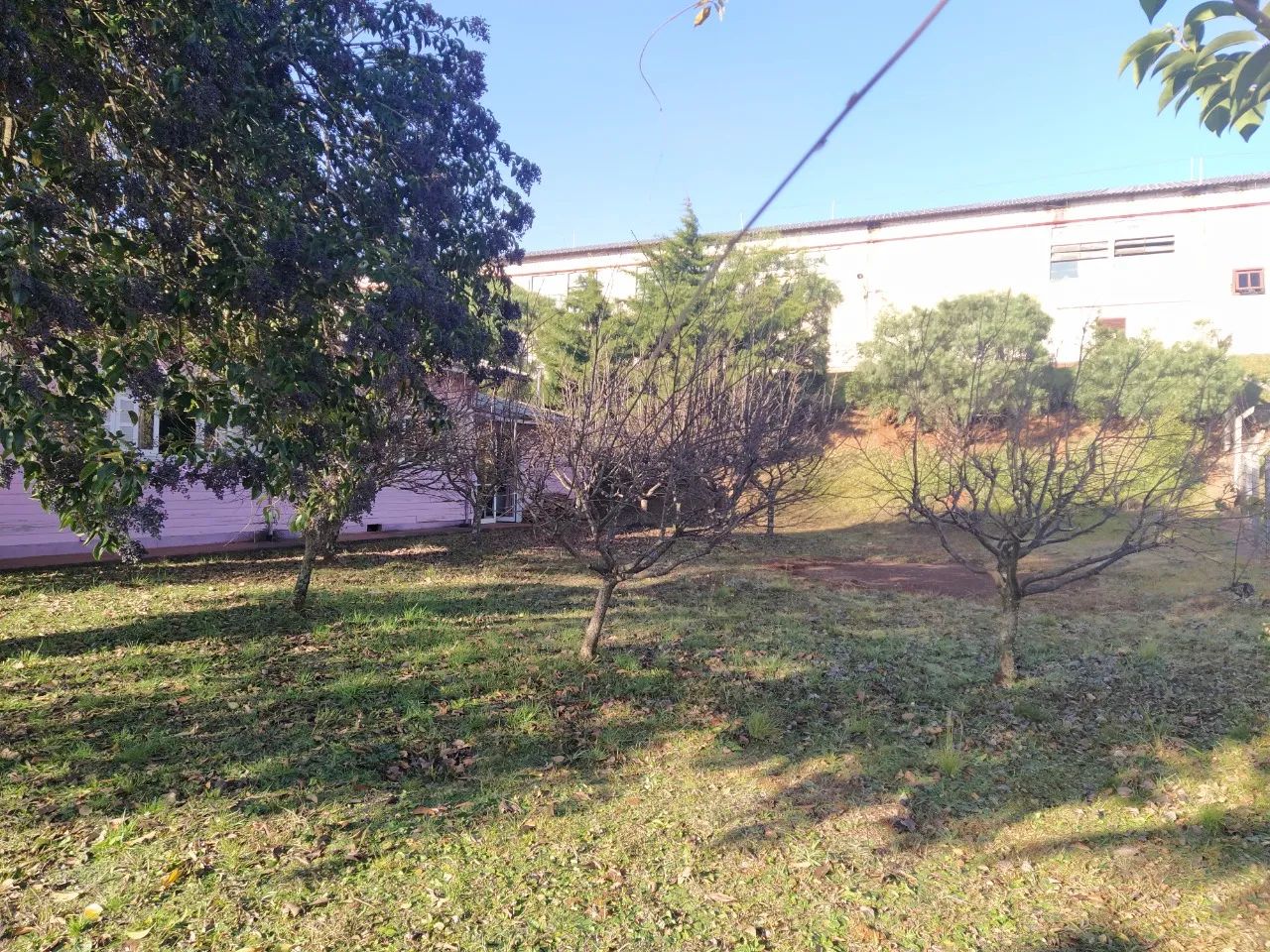 Terreno no Sorgatto - Foto 2