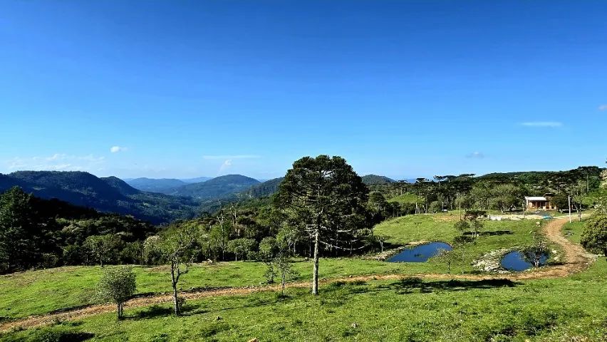 Sítio de Altitude, com linda vista das Montanha 