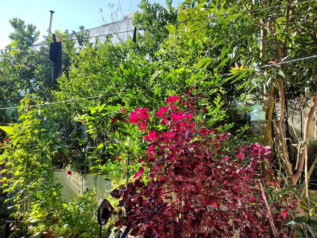 Vendo casa estilo casa de roça com fogão a lenha e quintal  - Foto 4