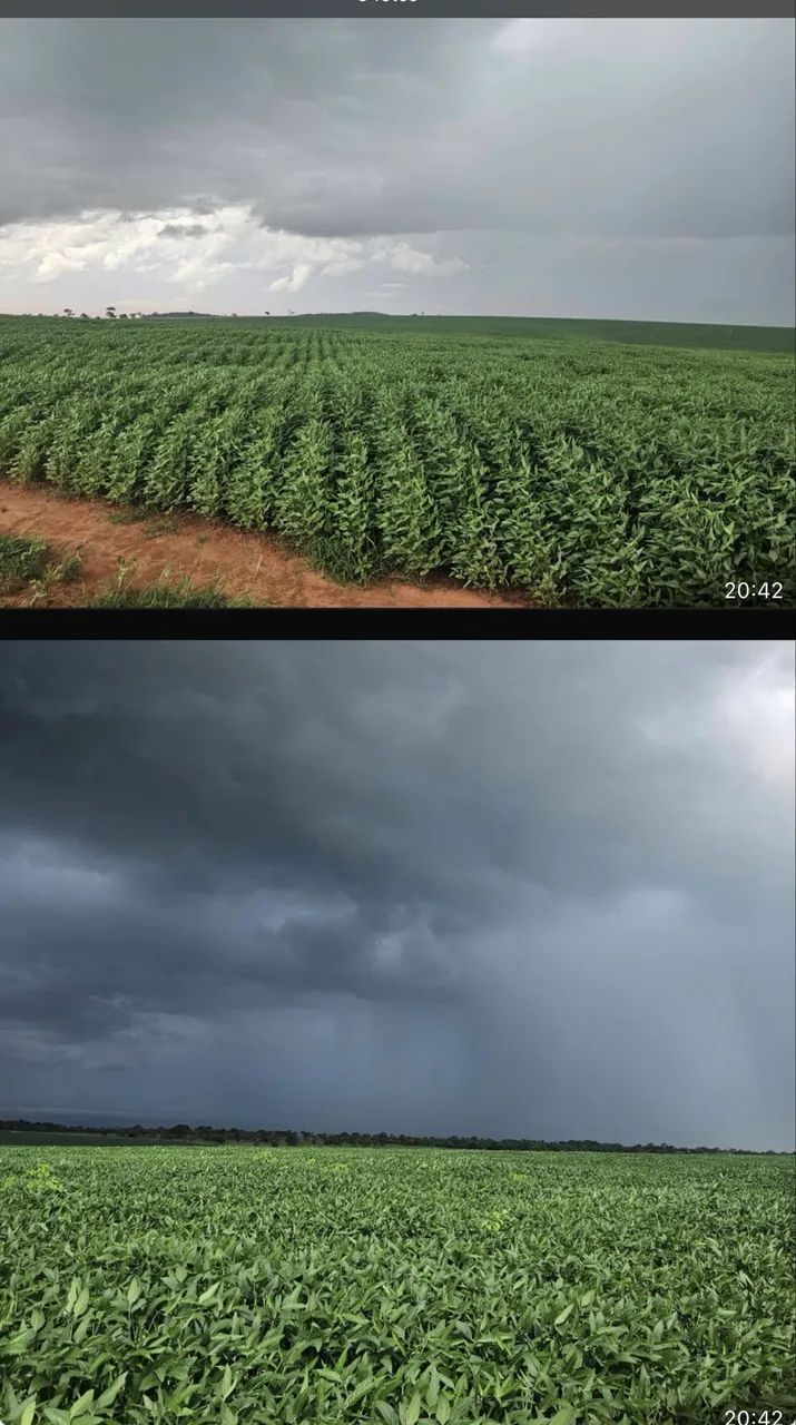 Fazenda próximo a campina verde 