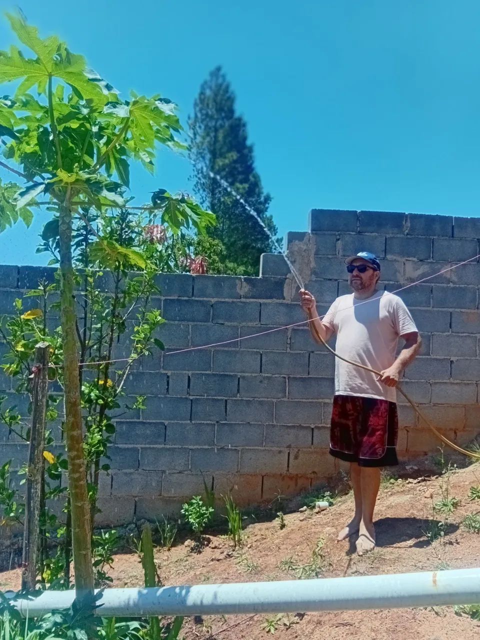Chácara a venda com casa Piedade SP - Foto 4