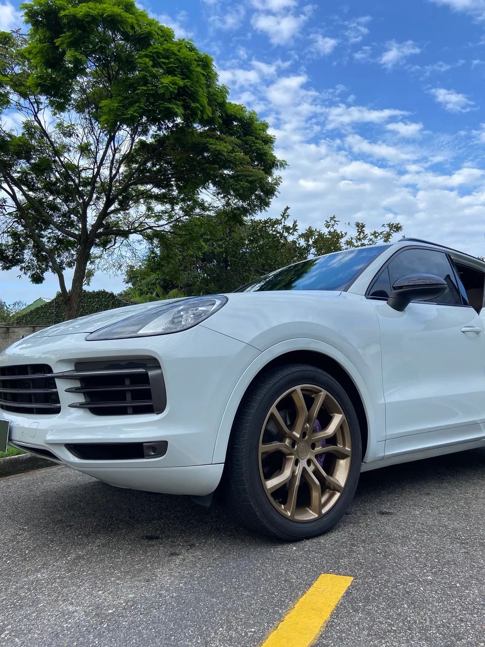 Porsche Cayenne 2019