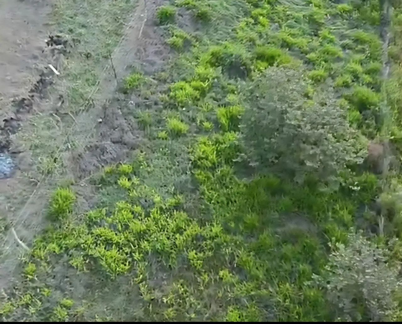Terreno 500² em zona rural - Foto 3