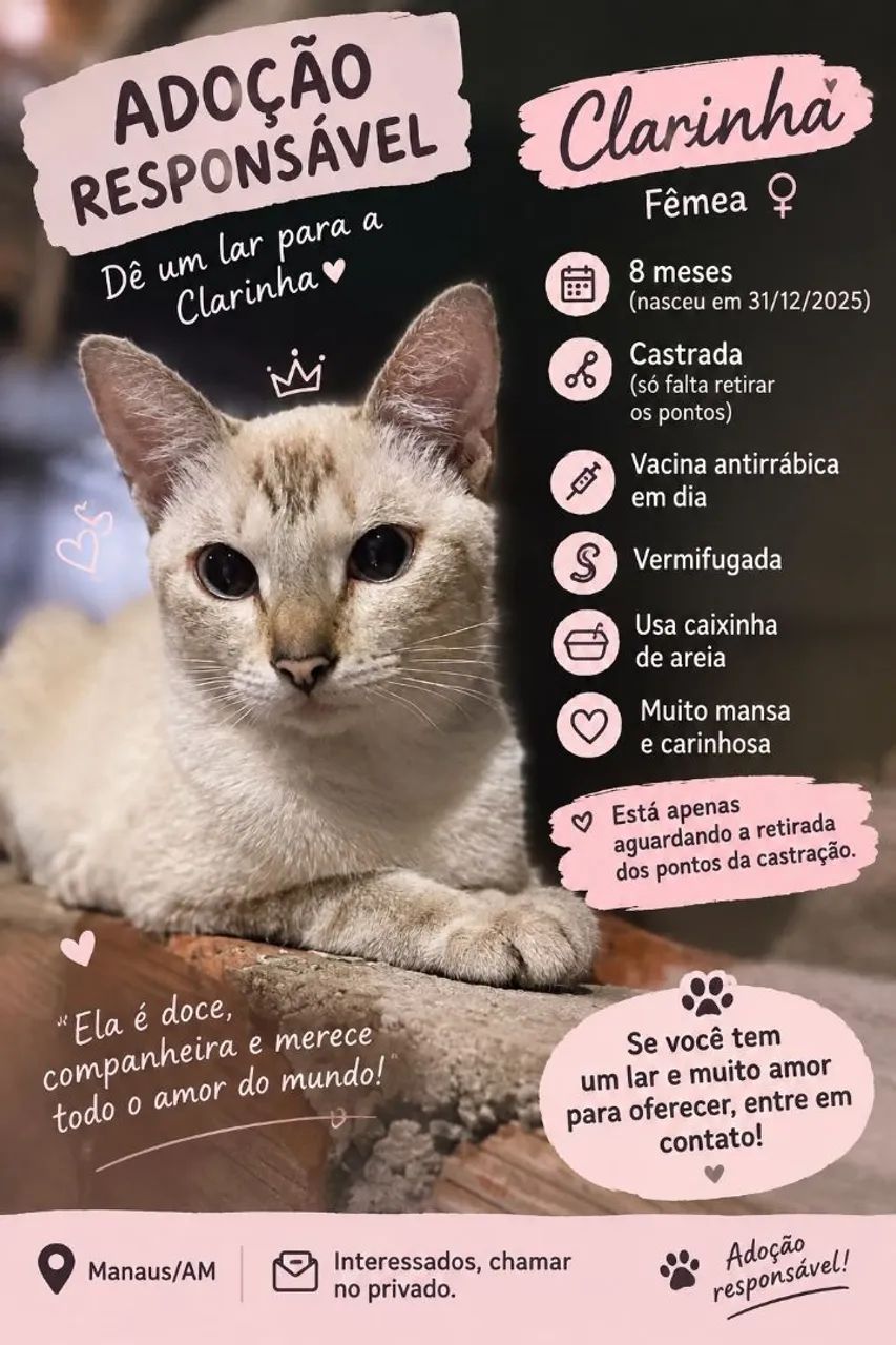 Doação responsável - Foto 2