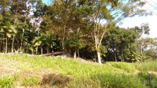 Chácara Linda Em Guaramirim - Foto 4