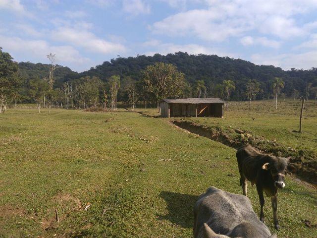 Chácara Linda Em Guaramirim - Foto 18