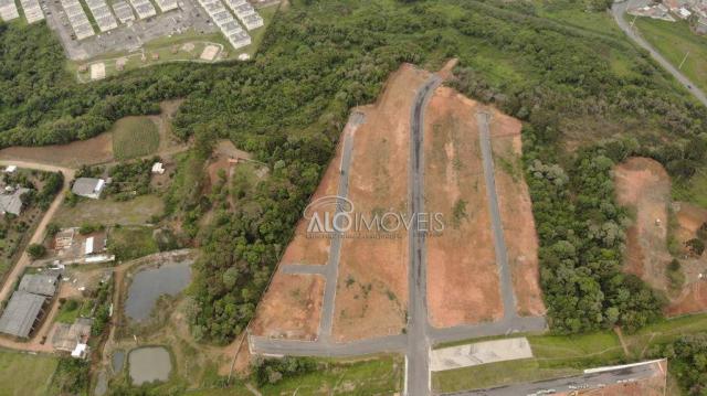 Terreno à venda, 144 m² por r$ 84.270,00 - eucaliptos - fazenda rio grande/pr