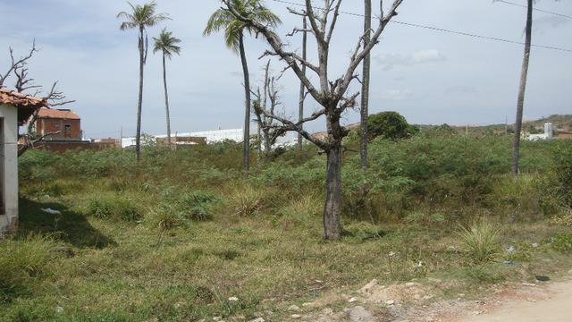 Excelente terreno em frente a fabrica Oriental com 3060m2 - Foto 7