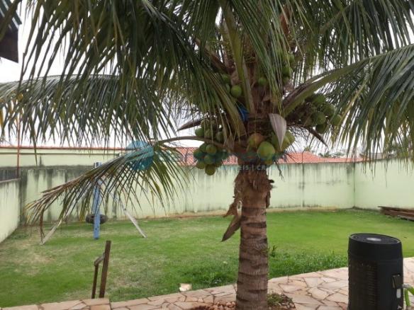 Chácara à venda em São luiz (patropi), Paulinia cod:CH00059 - Foto 18