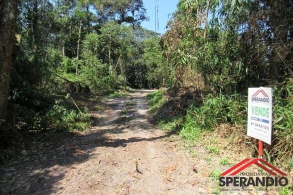 Terreno no palmeiras: r$ 48.000,00 à vista ou entrada e saldo em até 120x - Foto 3