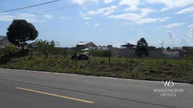 Terreno à venda, 426 m² por r$ 234.300,00 - iguaçu - araucária/pr - Foto 6