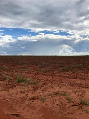 Fazenda 152 alqueires em são jose do rio preto 15.000.000.00