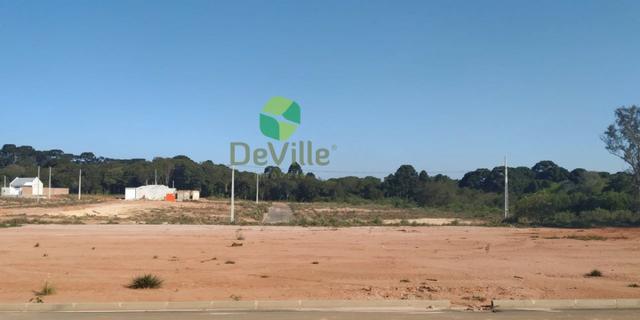 Terreno Eucaliptos - Fazenda Rio Grande-PR