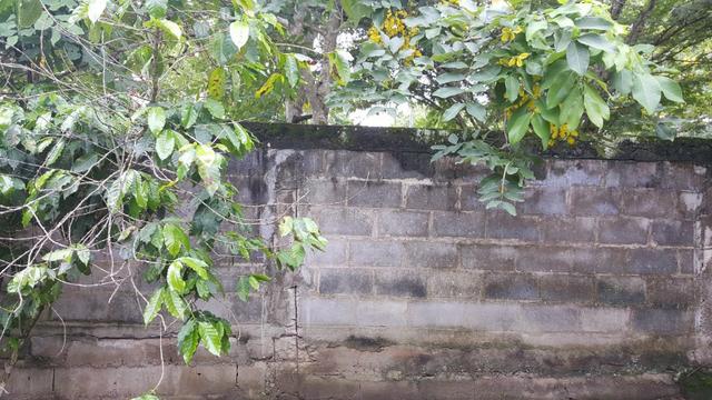 Terreno Murado com Água e Luz bairro Três Vendas em Araruama (RJ) - Foto 3