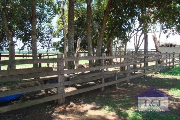 Fazenda município de Edealina - GO! Agende sua visita !!! - Foto 12