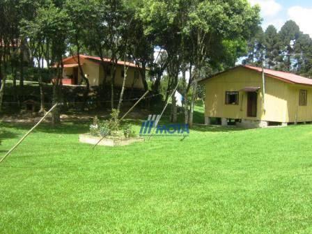 Chácara com 4 dormitórios à venda, 188368 m² por r$ 1.200.000,00 - colônia matos - mandiri - Foto 4