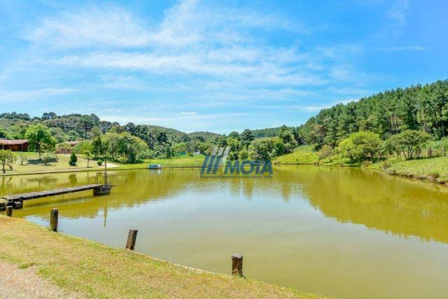 Chácara rural à venda, pacotuba, almirante tamandaré.