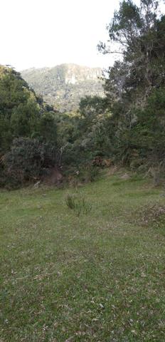 Sítio em Urubici/ área rural/chácara em Urubici - Foto 4