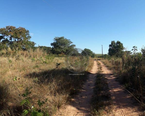 Chácara 7 hec na beira do asfalto estrada do manso à venda por r$ 120.000,00 - Foto 4