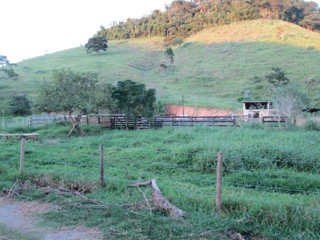 Vendo sítios - Foto 9
