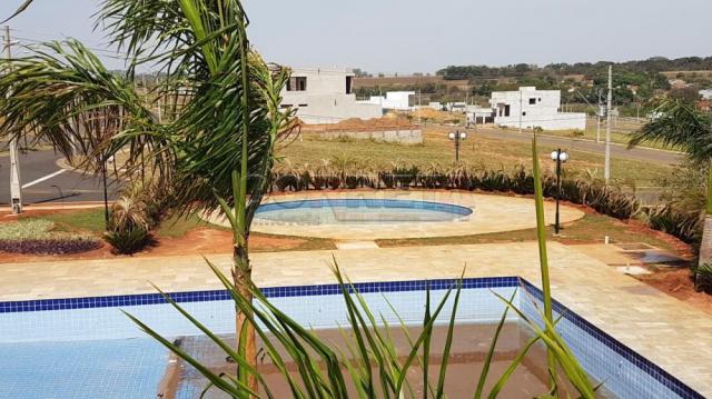 Terreno à venda em Alvorada, Aracatuba cod:V04361 - Foto 15