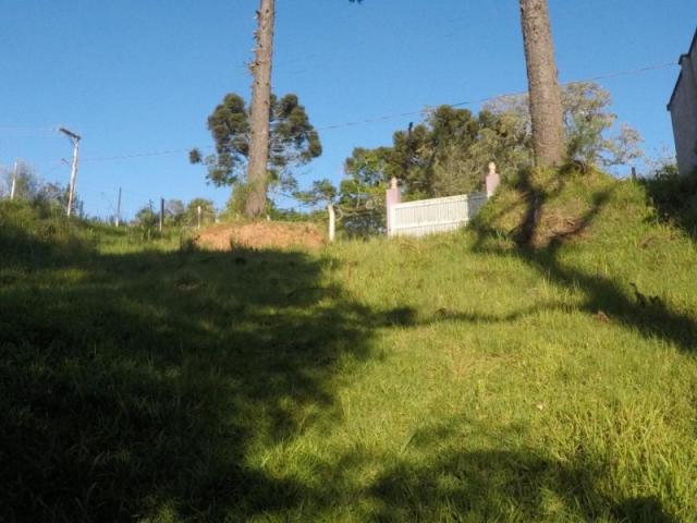 Chácara nà venda - barro preto - são josé dos pinhais/pr - Foto 11