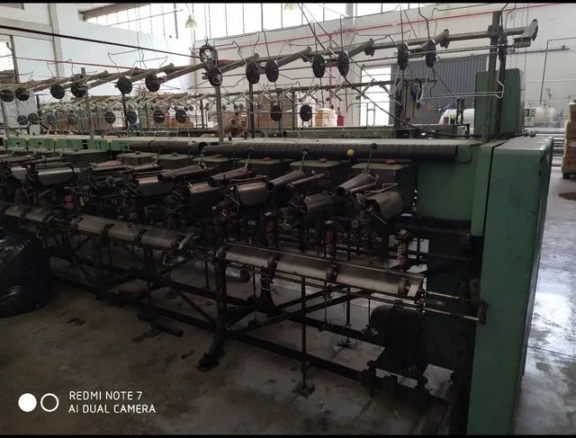 Conicaleira Schweiter