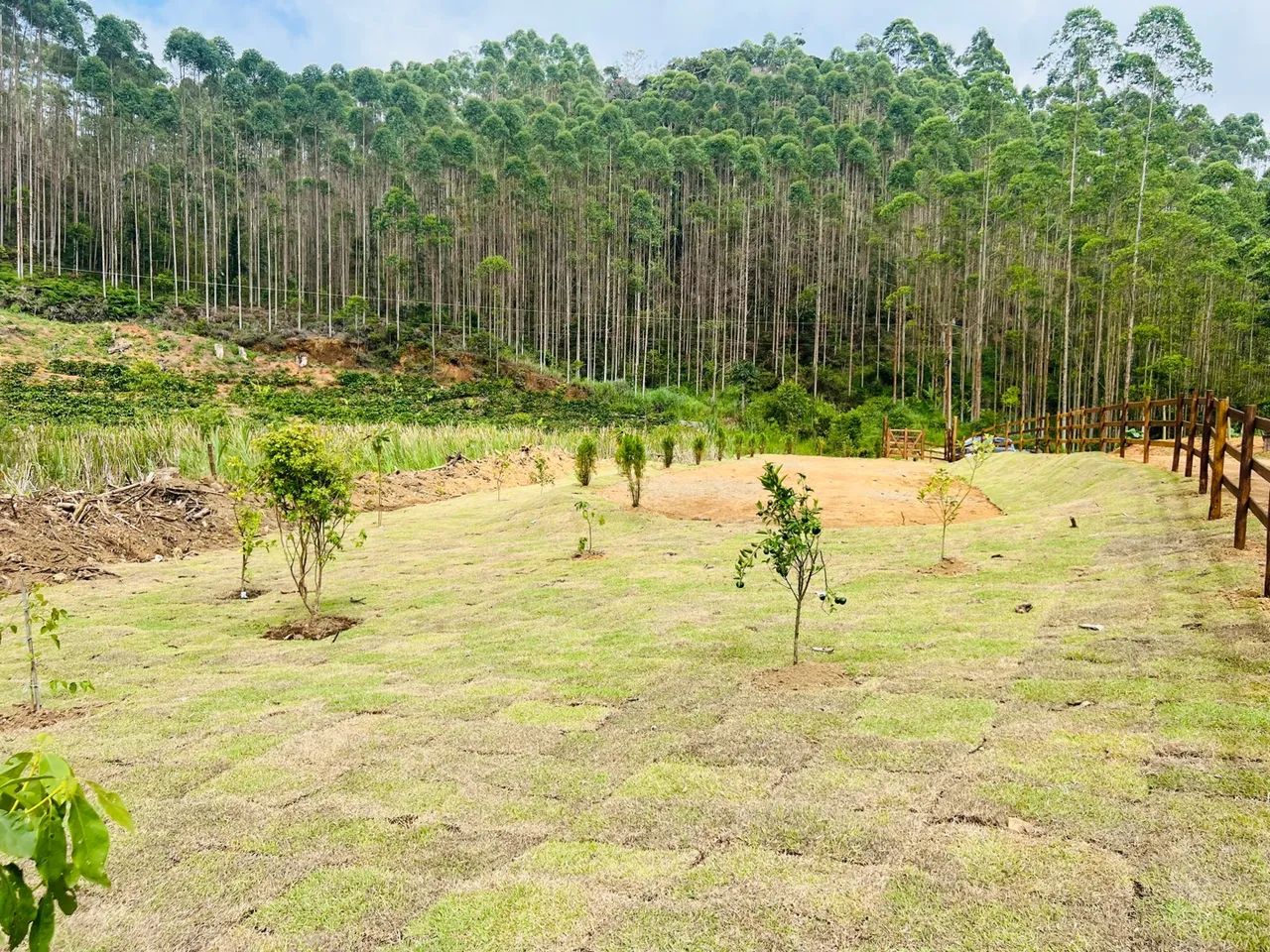 Linda Chácara com lago em Santa Teresa a 5 km do centro  - Foto 11