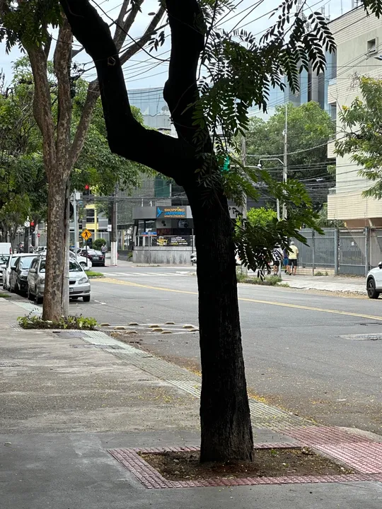 Loja Comercial para Alugar - Jardim da Penha