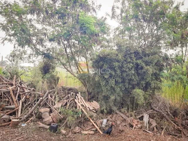 Terreno à venda no Marambaia em Vinhedo/SP - Foto 3