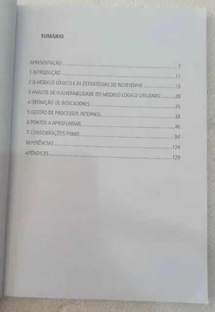 linhas gerais de um planejamento participativo para o programa cultura viva ipea - Foto 3