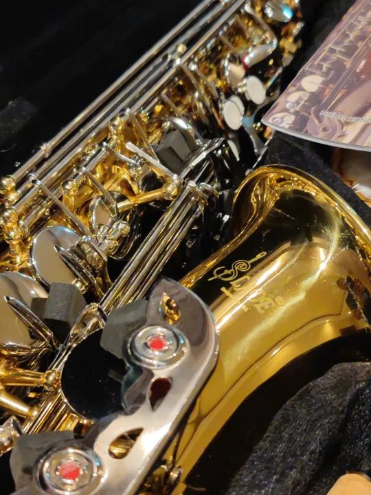 R$ 2.400,00 Sax Alto Novo Amadeu Russo Nabor Pires Camargo Almeida Dias Klose - Foto 3