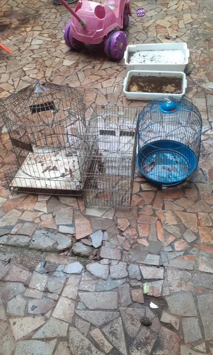 gaiolas oferta 99.00 as (3) EM BOM ESTADO