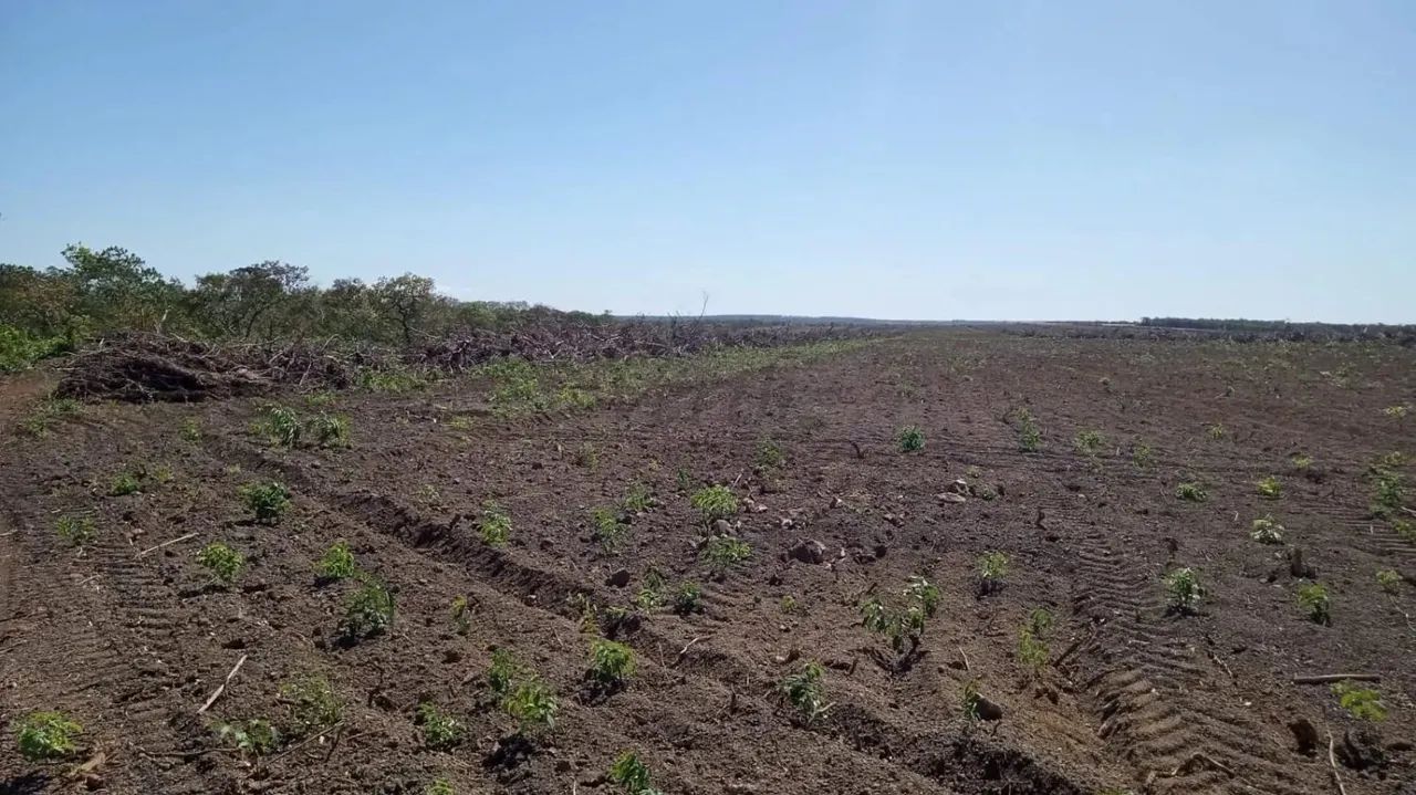 Fazenda à Venda  Santa Rita do Tocantins/TO
