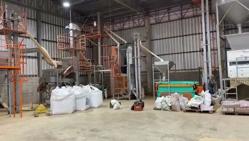 Indústria/Engenho/Beneficiamento de Feijão - Foto 6
