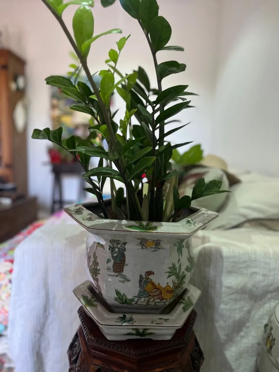 Vaso c/ prato e com  planta Zamioculca cerâmica faiança  - Foto 2