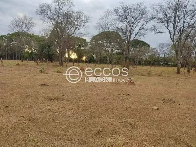 Fazenda à venda, 4 quartos, Miraporanga - Uberlândia/MG - Foto 3