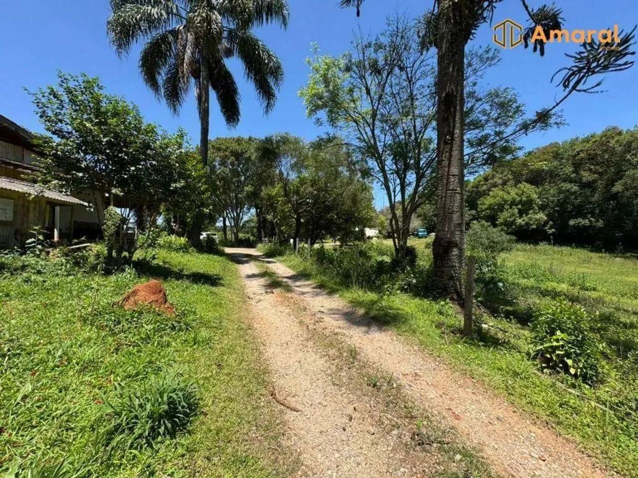 OPORTUNIDADE-100% PLANA - ASFALTADA