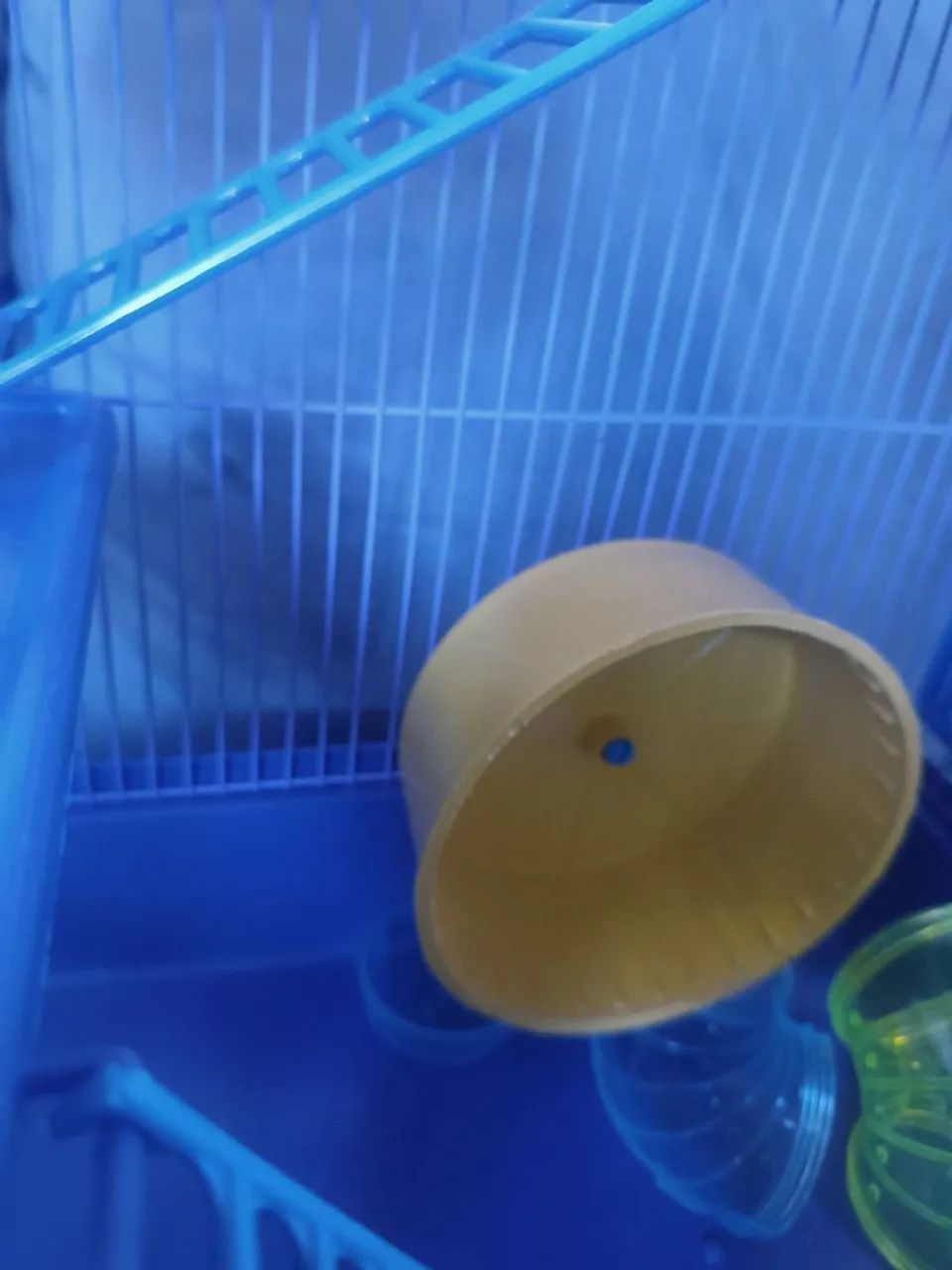 Casinha para Hamster 64842118004355124