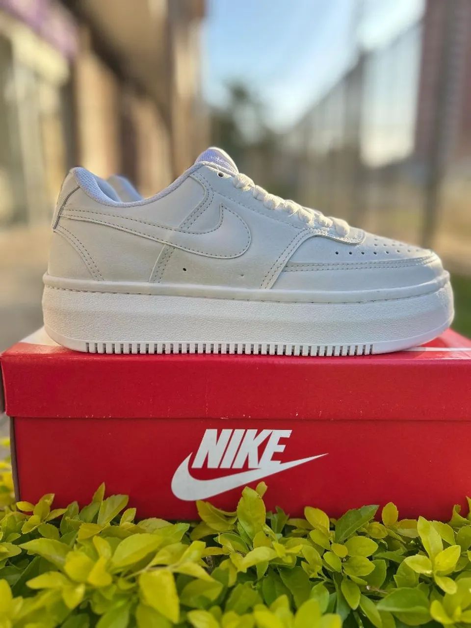 New Sneakers64304972840195122